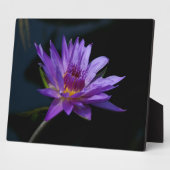 Waterlily Lotus Fotoplaat (Zijkant)