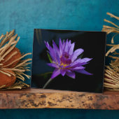 Waterlily Lotus Fotoplaat (Zijkant)