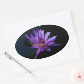 Waterlily Lotus Ovale Sticker (Envelop)