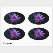 Waterlily Lotus Ovale Sticker (Vel)