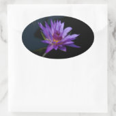 Waterlily Lotus Ovale Sticker (Tas)