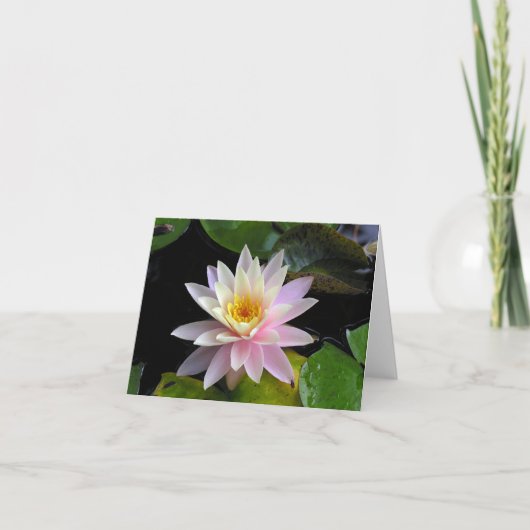 Waterlily Notecard Kaart (Voorkant)