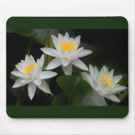 Waterlily Trio Mousepad Muismat