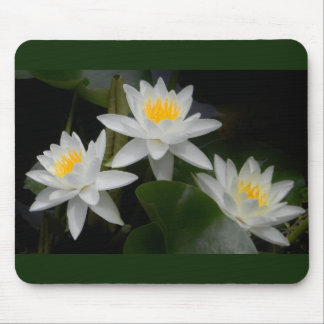 Waterlily Trio Mousepad Muismat
