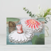  waterlioen bloemen in een Garden Pond (Staand voorkant)