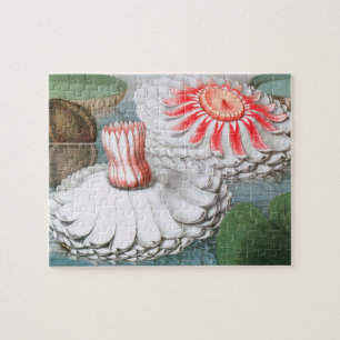  waterlioen bloemen in een Garden Pond Legpuzzel