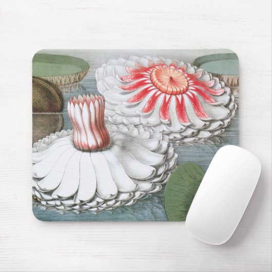  waterlioen bloemen in een Garden Pond Muismat (Met muis)