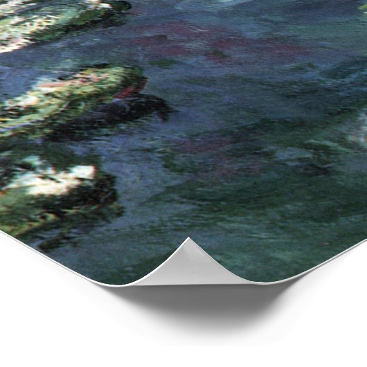 Waterlioenen van Claude Monet,  bloemen Poster (Hoek)