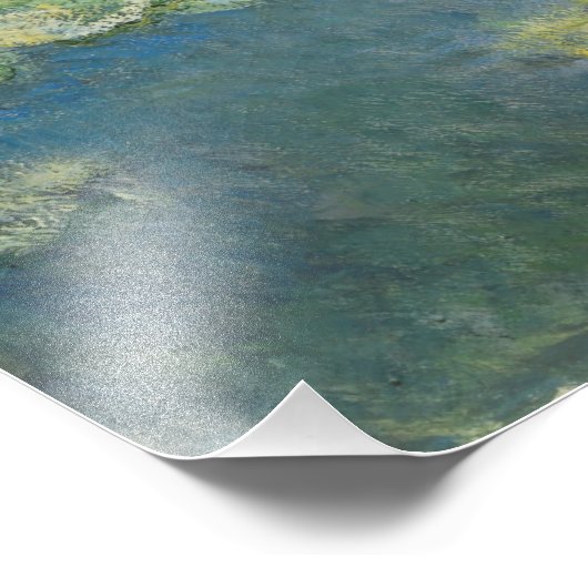 Waterlioenen van Claude Monet Foto Afdruk (Hoek)