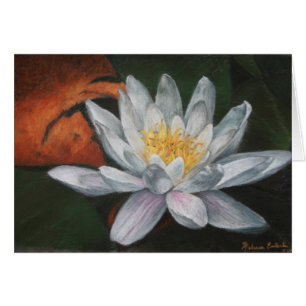 Waterlly met Dead Pad