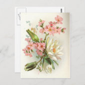 waterlustig briefkaart (Voorkant / Achterkant)