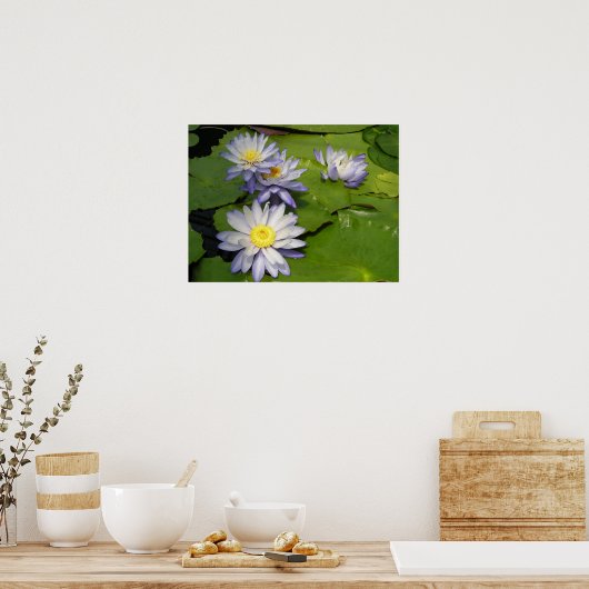 waterlustig poster (Keuken)