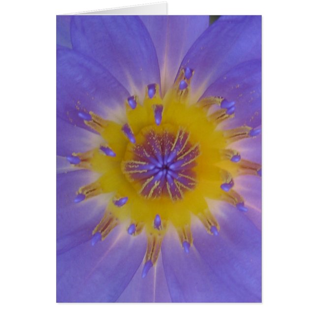 Waterly geluk (Voorkant)