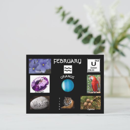 Waterman februari verjaardagsmaand ansichtkaart briefkaart (Staand voorkant)