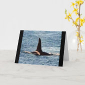 Waterman Orca Aanpasbare Westkust Orka Kaart (Gele Bloem)