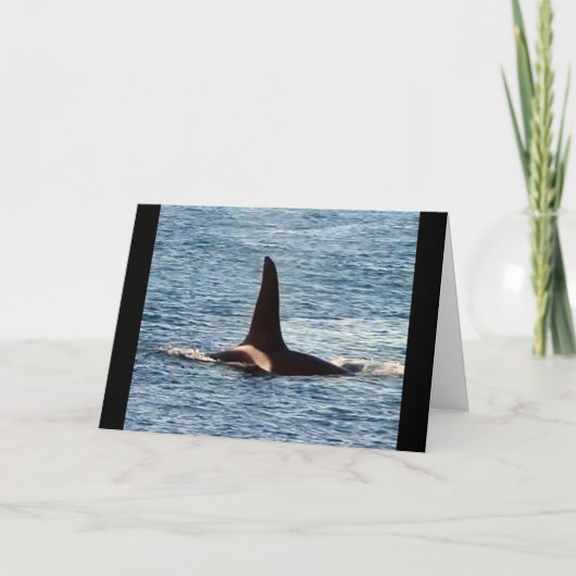 Waterman Orca Aanpasbare Westkust Orka Kaart (Voorkant)