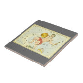 Waterman,  sterrenbeeld, Urania's Mirror Tegeltje (Zijkant)