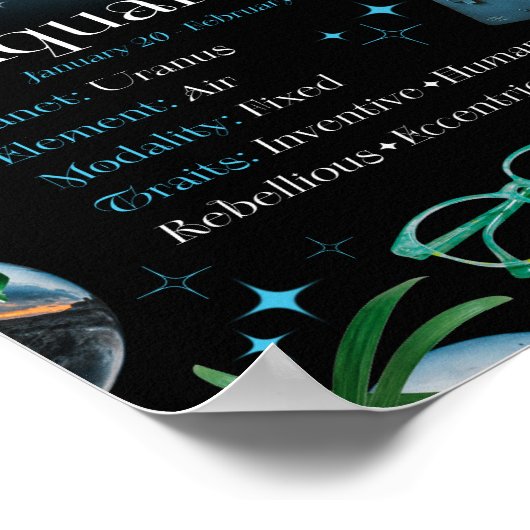 Waterman Zodiac Sterrenbeeld Y2K Zwart Poster (Hoek)