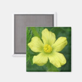 Watermeloen Bloom Magneet (Voorkant / Achterkant)