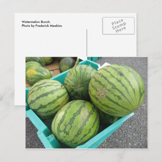 Watermeloen Bunch. Briefkaart (Voorkant / Achterkant)
