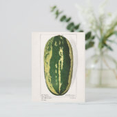 Watermeloen (Citrullus Lanatus) Briefkaart (Staand voorkant)