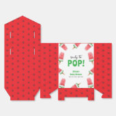 Watermeloen Ice Cream Popcicle Baby shower Bedankdoosjes (Ongevouwen)