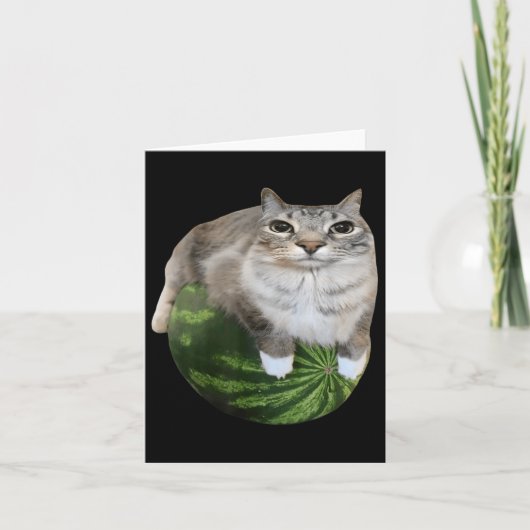 Watermeloen Kat Gekke Kat Meme Kaart (Voorkant)