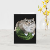 Watermeloen Kat Gekke Kat Meme Kaart (Gele Bloem)