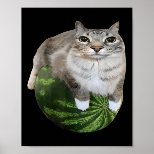 Watermeloen Kat Gekke Kat Meme Poster (Voorkant)