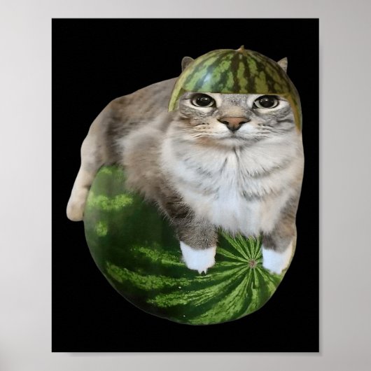 Watermeloen Kat Grappige Meme  Poster (Voorkant)
