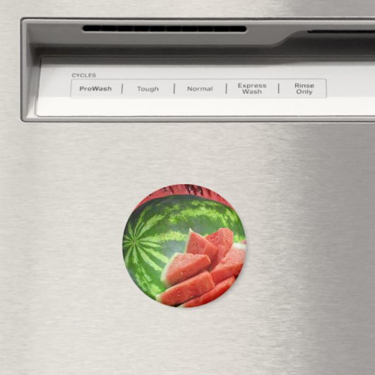 Watermeloen Magneet (Insitu (Vaatwasser))