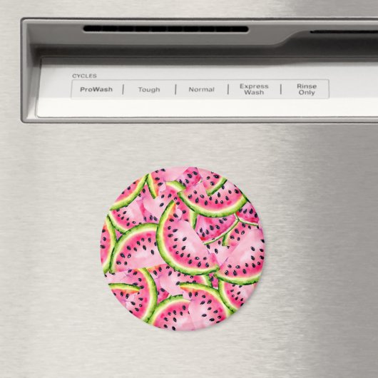 Watermeloen Magnet (Insitu (Vaatwasser))