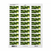 Watermeloen op de markt etiket (Full Sheet)