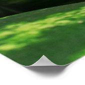 Watermeloen Poster (Hoek)