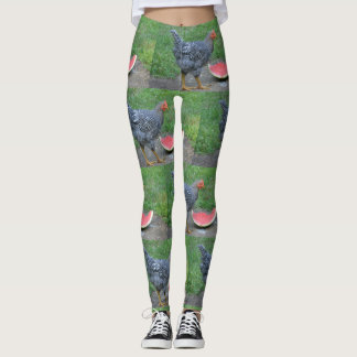 Watermeloen van kippen leggings