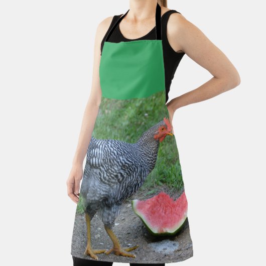 Watermeloen van kippen schort (Insitu)