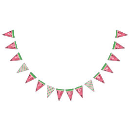 Watermeloen Verjaardagsbanner Vlaggetjes