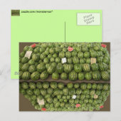 Watermeloenen Briefkaart (Voorkant / Achterkant)