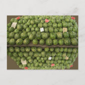 Watermeloenen Briefkaart (Voorkant)