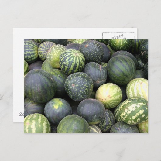 watermeloenen briefkaart (Voorkant / Achterkant)