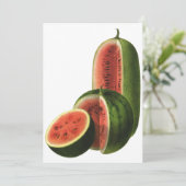  watermeloenen, ronde, organische voedselvruchten (Staand voorkant)