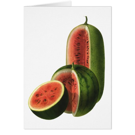  watermeloenen, ronde, organische voedselvruchten (Voorkant)