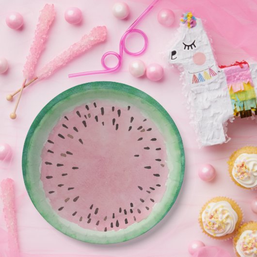 Watermeloenen Roze en Groene Handgekleurde Waterve Papieren Bordje (Feest)