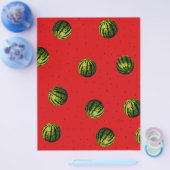 watermeloenrood en zaden flyer (Enkel)