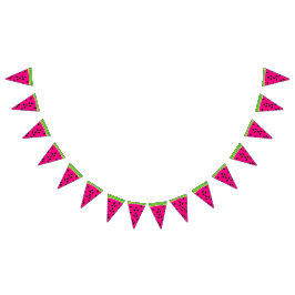 Watermelon Bunting Banner Pink Green Party Decor