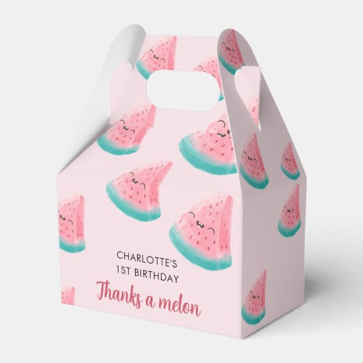 Watermelon First Birthday Bedankt a Melon Bedankdoosjes (Voorkant Zijde)