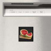 WATERMELON MAGNEET (Insitu (Vaatwasser))
