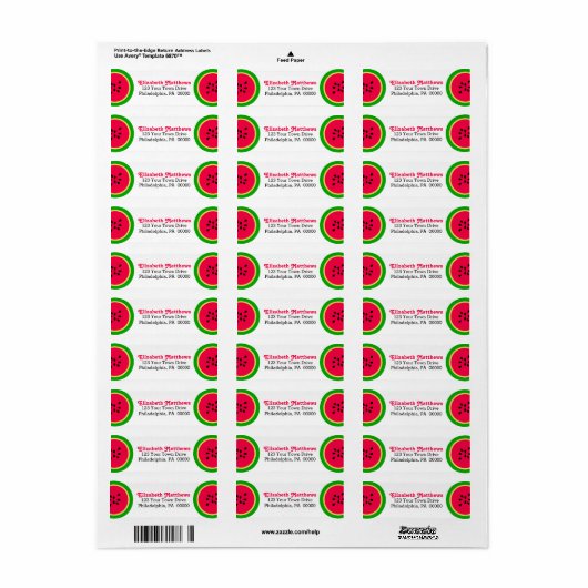 Watermelon Modern Summer Fun Etiket (Full Sheet)