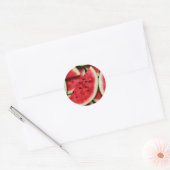 Watermelon Slices Ronde Sticker (Envelop)