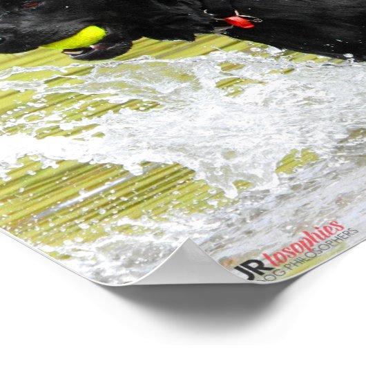 Watermeter Poster (Hoek)